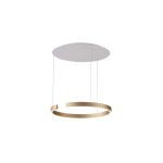 Pakabinamas LED dimeriuojamas šviestuvas Iconium D60 - Image 4