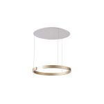 Pakabinamas LED dimeriuojamas šviestuvas Iconium D60