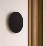 Sieninis šviestuvas REGA